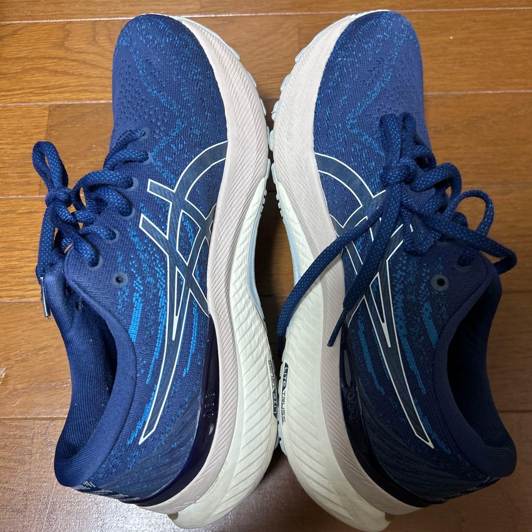 ASICS ゲルカヤノ29 25.0㎝