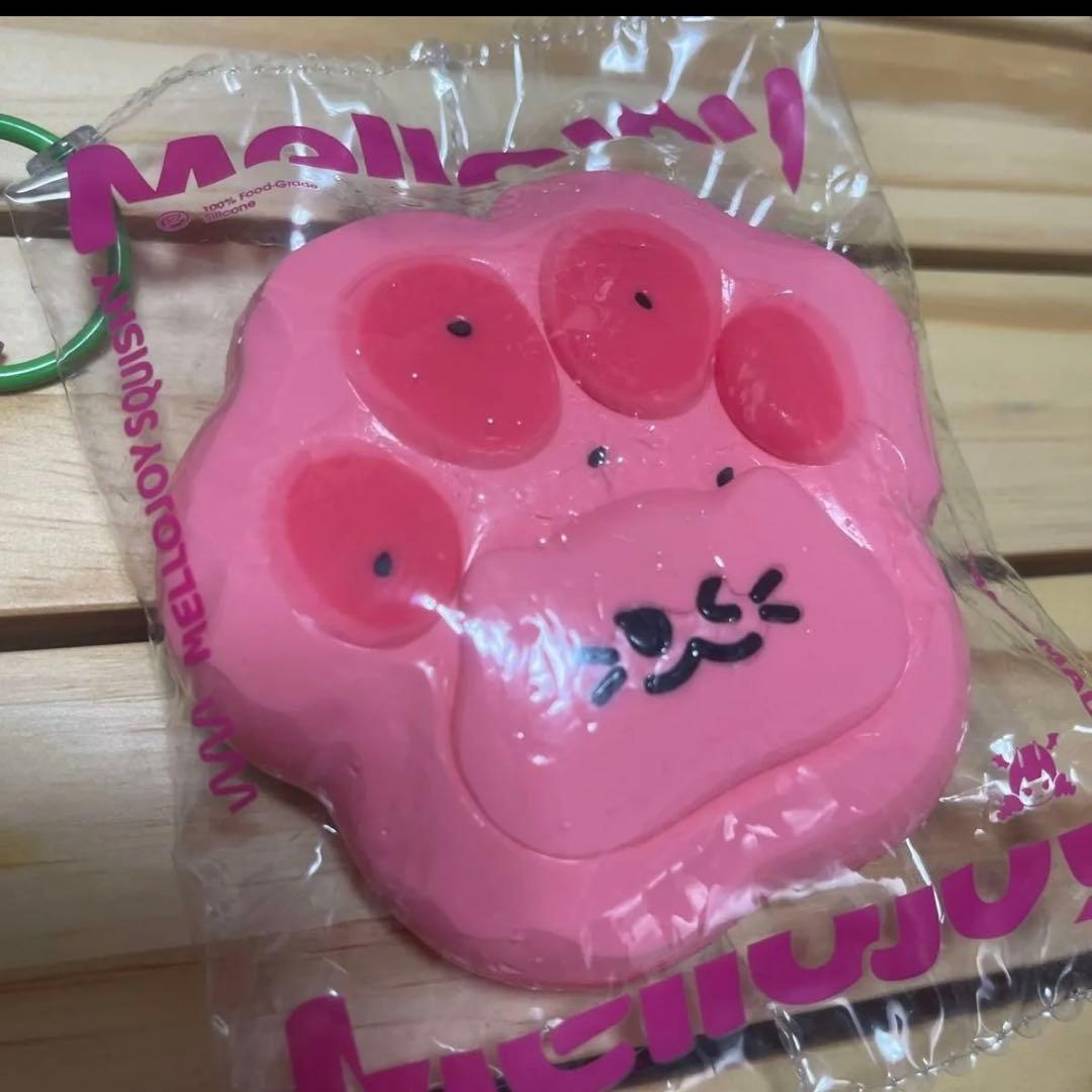 ま*さ様 mellojoy 猫爪　もふもふ　すいか　茶トラ