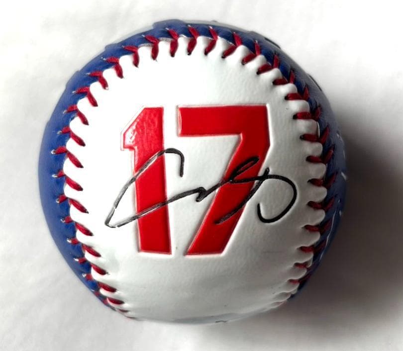 ドジャース 大谷翔平 2025個限定 サイン/画像/背番号/ケース/スタンド付き