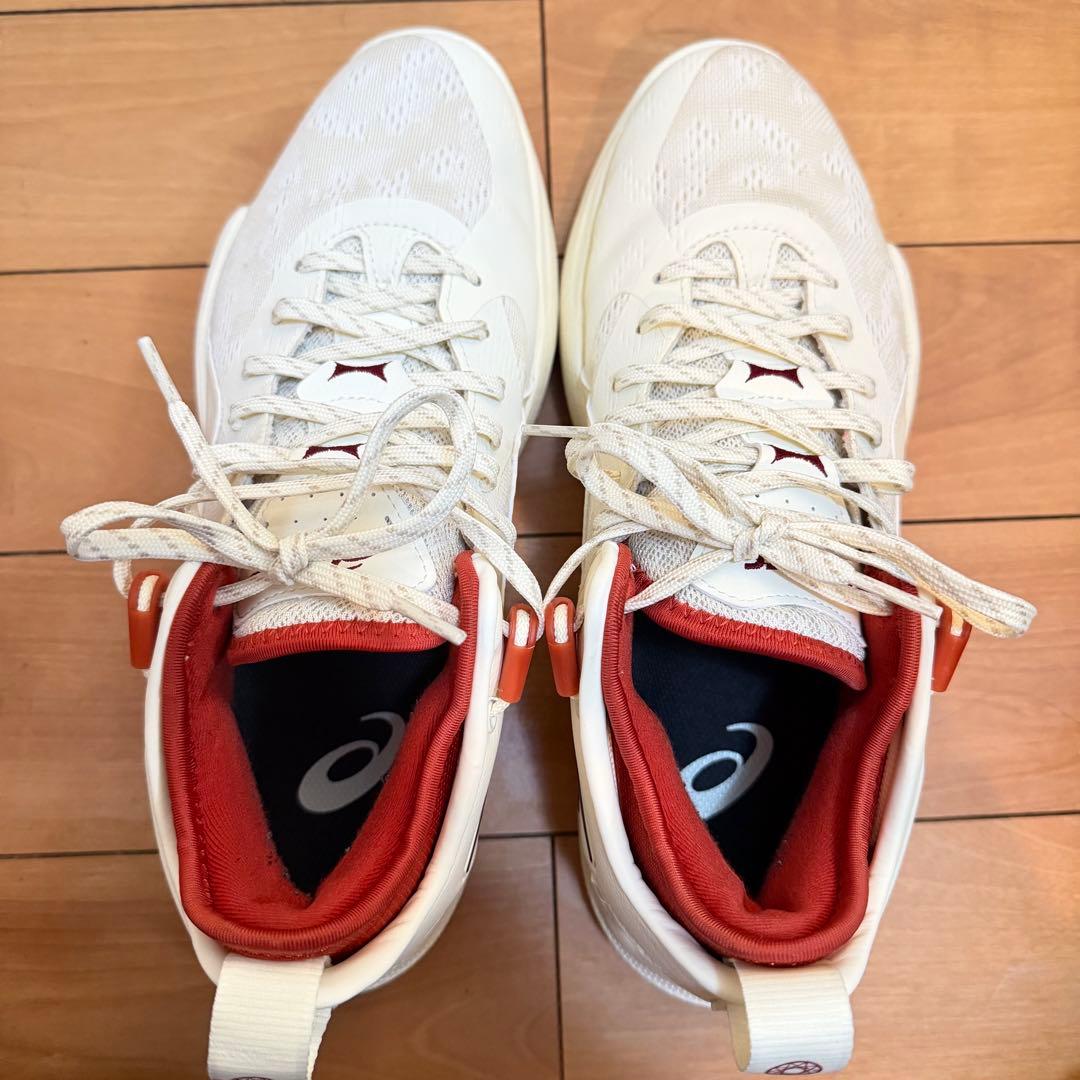 ノヴァサージロー2 26cm NOVA SURGE LOW 2