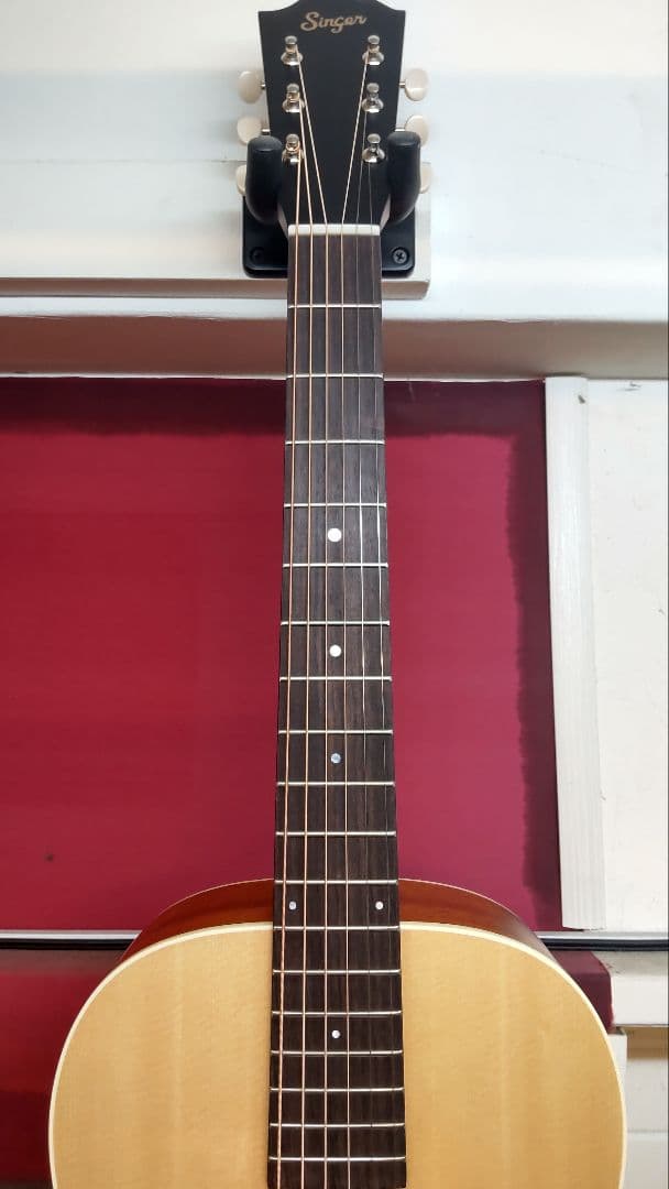 【Singer】Acoustic Imagine Series P01