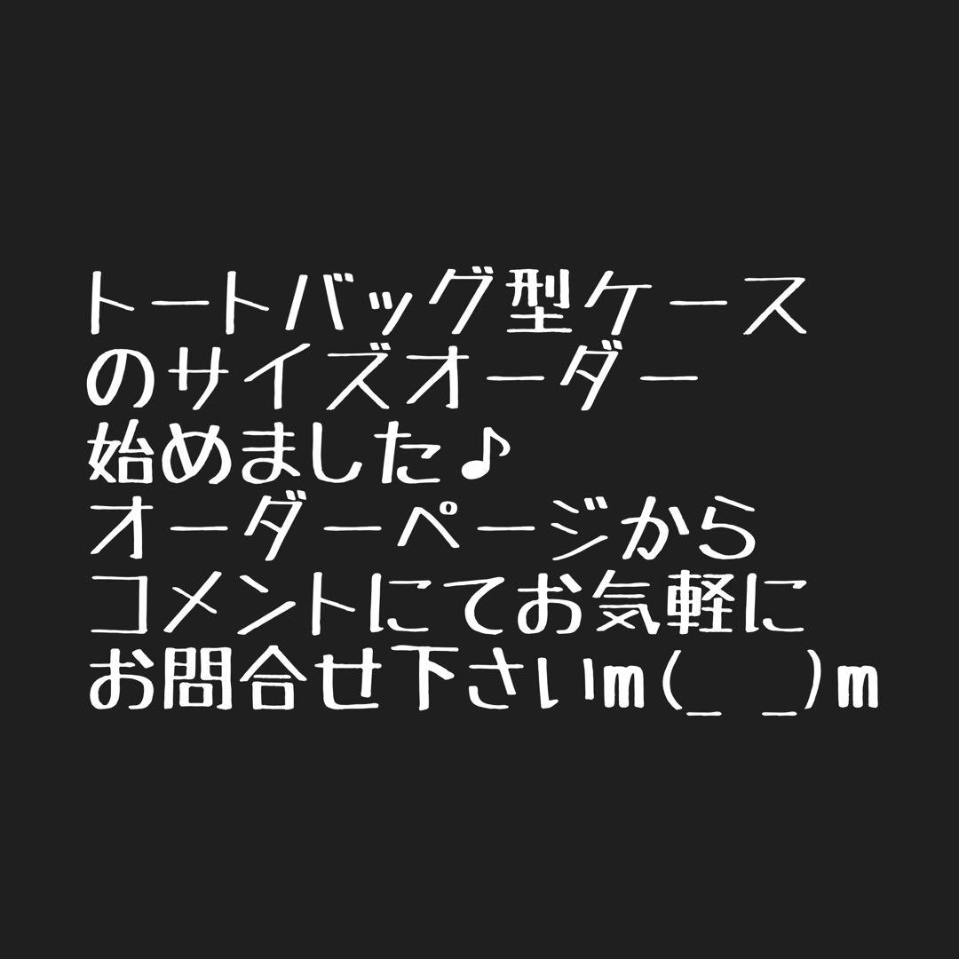 mukunodeck SBS kit 付&mukunoshita用バッグ仕切り有
