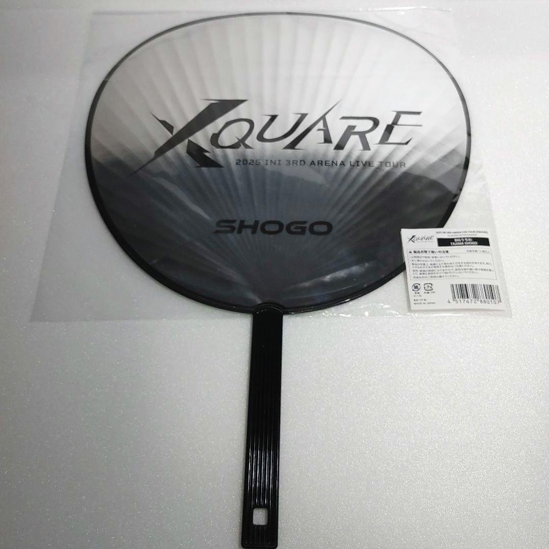 INI　田島将吾　ストラップ　ポーチ　うちわ　アクスタ　缶バッジ　キーホルダー