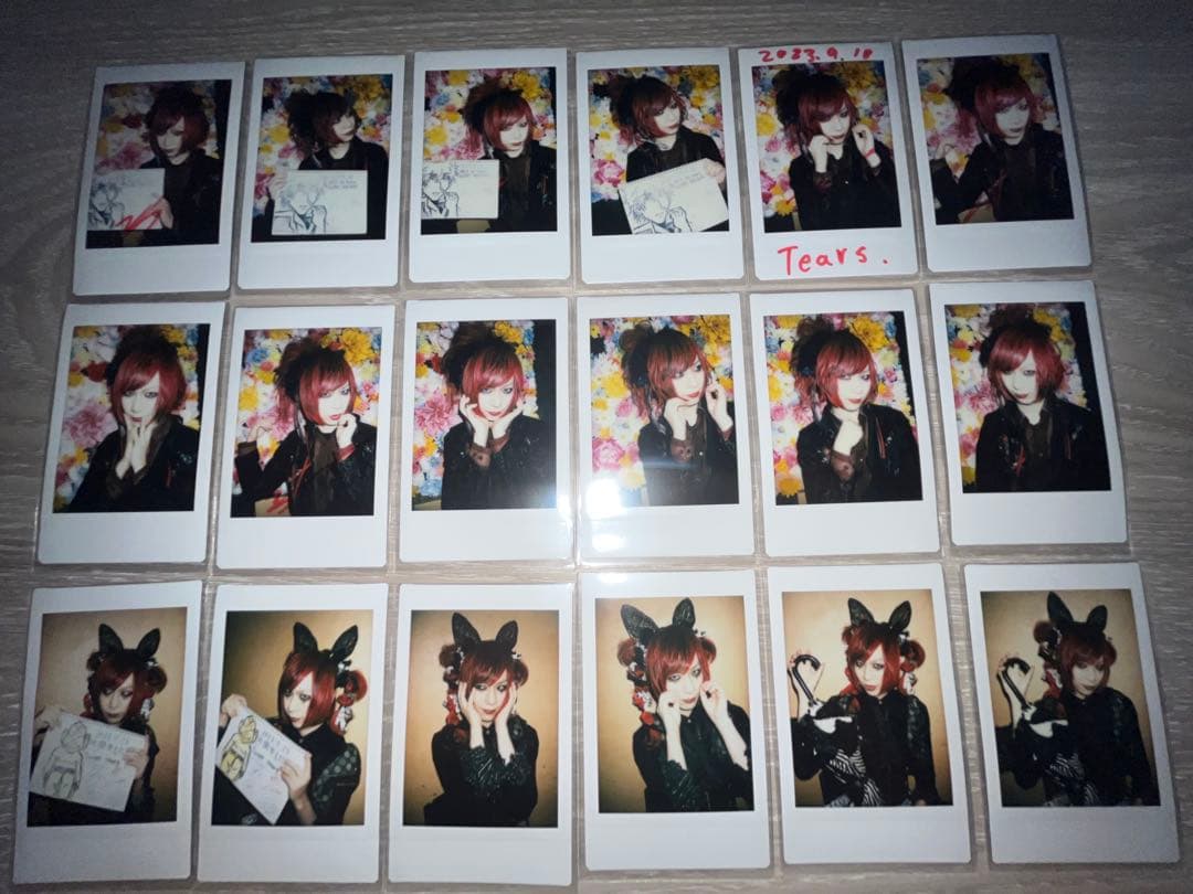 Royz 公大 過去チェキ217枚＋インスト特典等