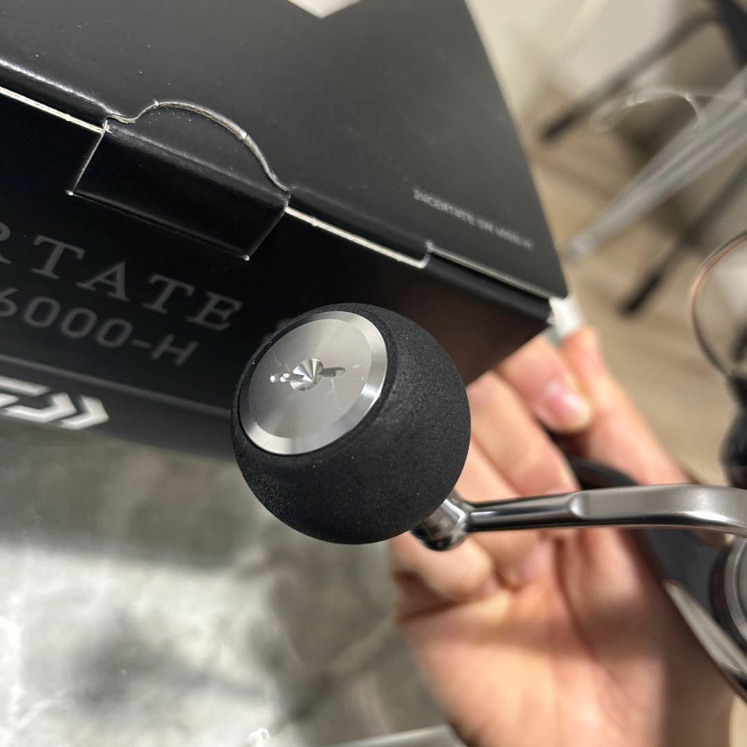 【美品】DAIWA 24セルテートSW6000-H