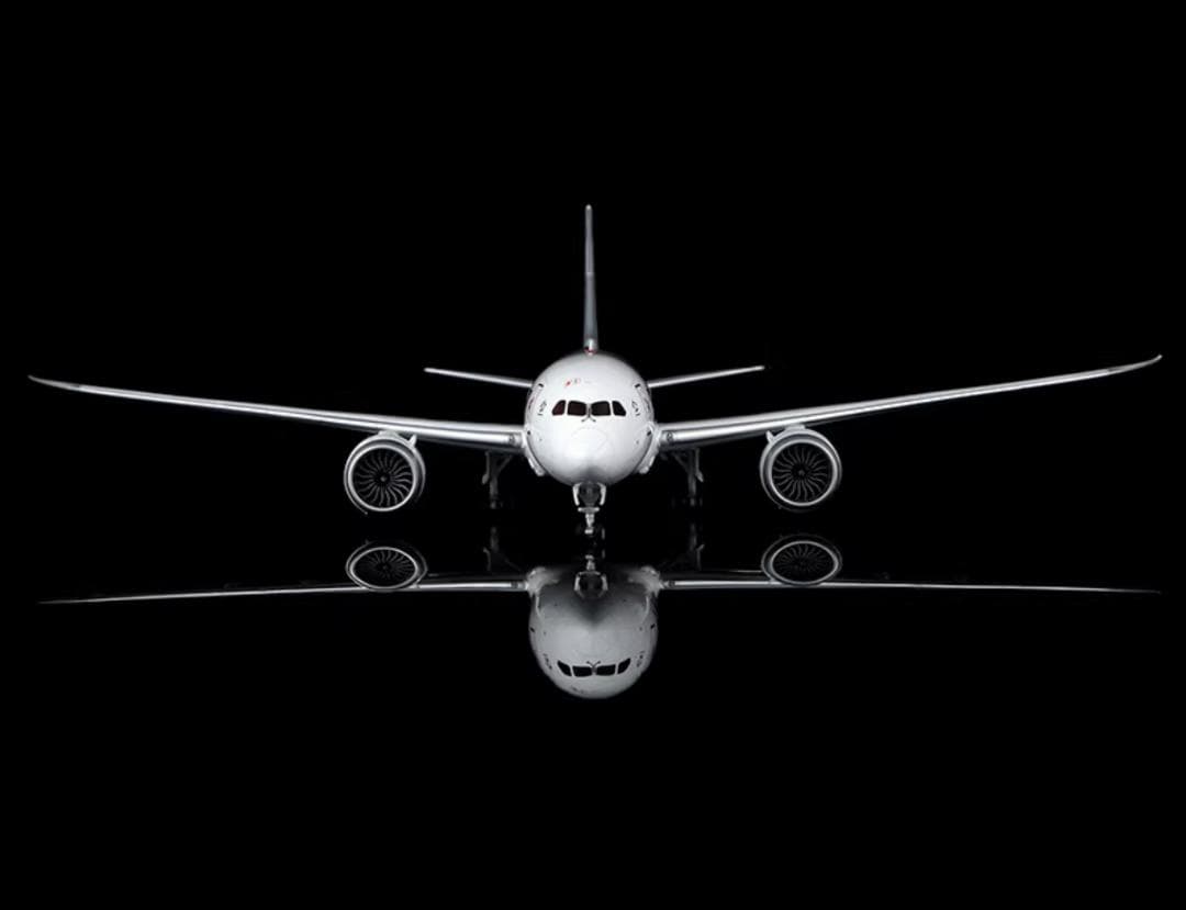 【新品・即納】鯖塗装 ANA B787-8 1/200 JA801A SQ