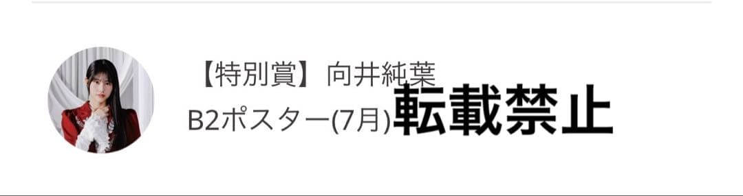 櫻坂46 向井純葉　サクコレB2ポスター　7月　サクコレカード　LUMINOUS