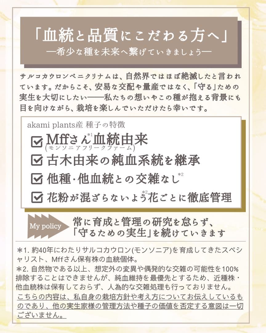 サルコカウロン ペニクリナム 自家採取 種子 5粒