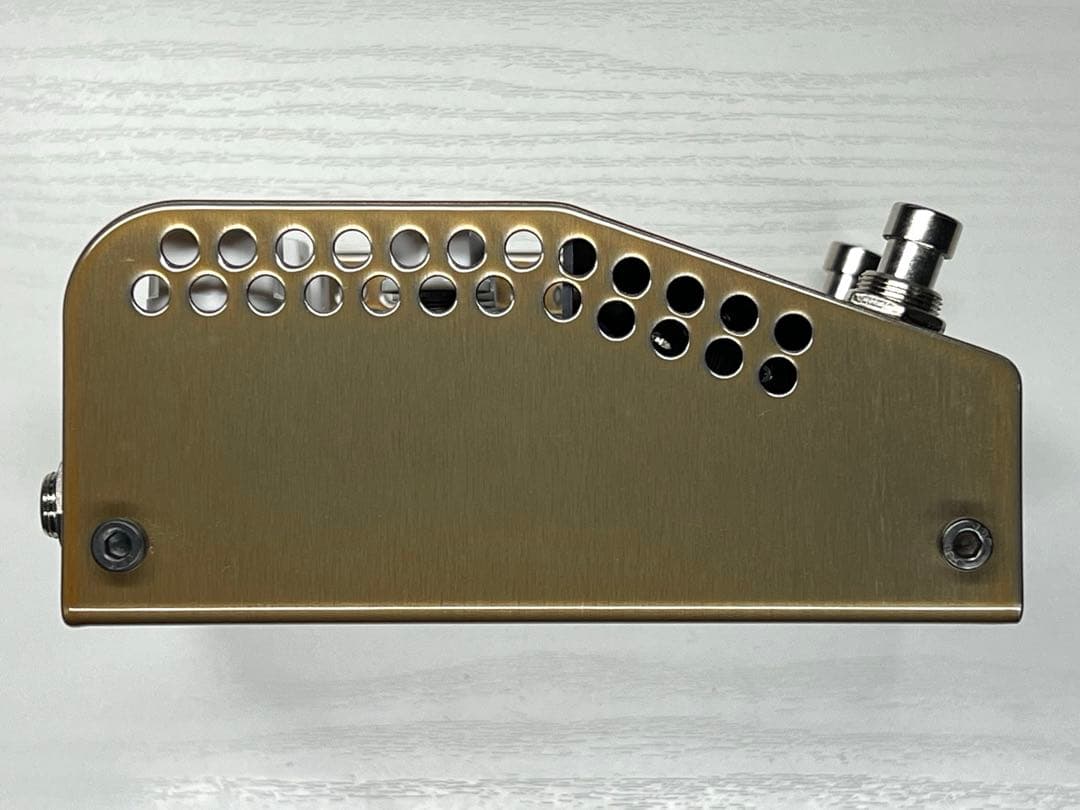 ギター Thorpy FX Electric Lightning