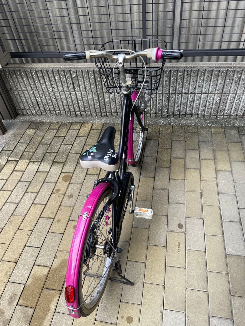 BRIDGESTONE Wild Berry ブリヂストンワイルドベリー