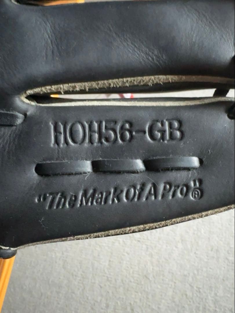 Rawlings 野球グローブ The Gold Glove Co.
