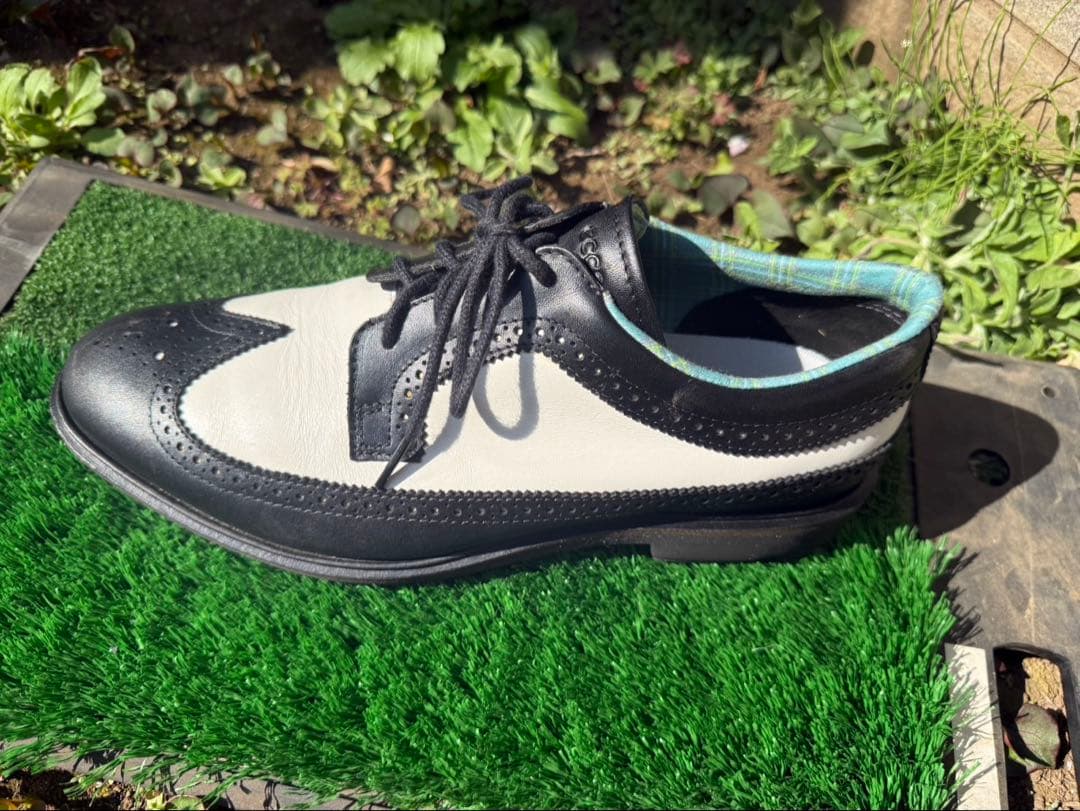 ECCO メンズモデル スパイクレス CLASSIC HYBRID Brog