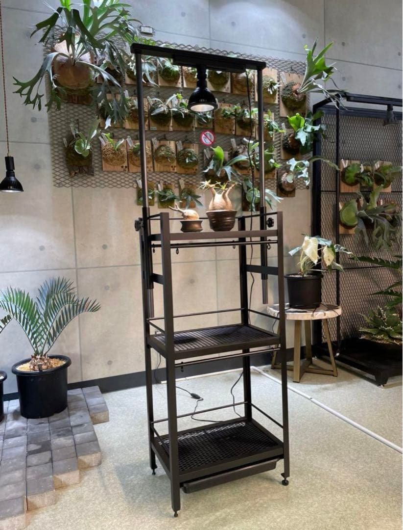植物棚　アイアン　コンパクトタイプ小　アイアン植物棚　シェルフ　tig溶接製作