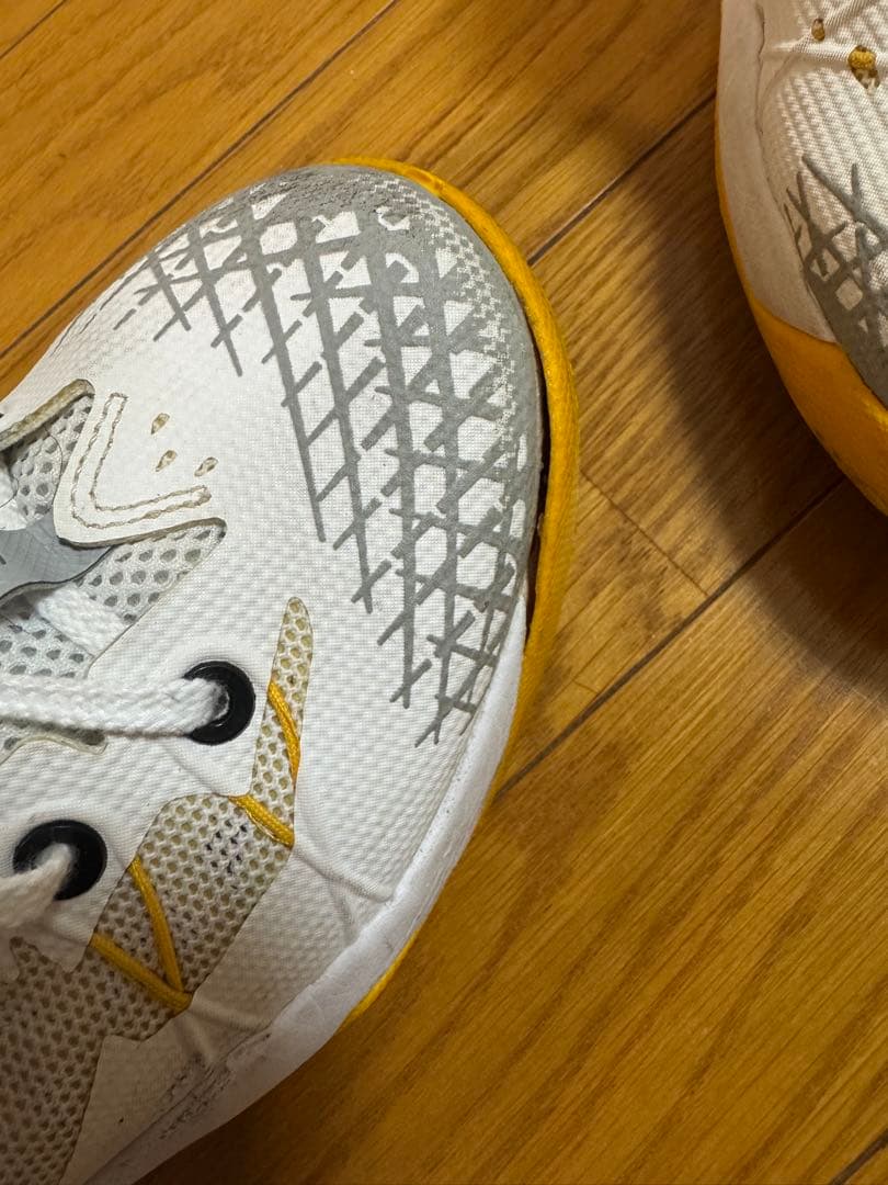 シューズ(男性用) Nike Kobe venomenon4