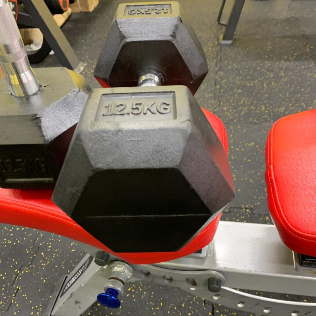 ラバー ヘックス ダンベル 12.5kg × 2個 セット