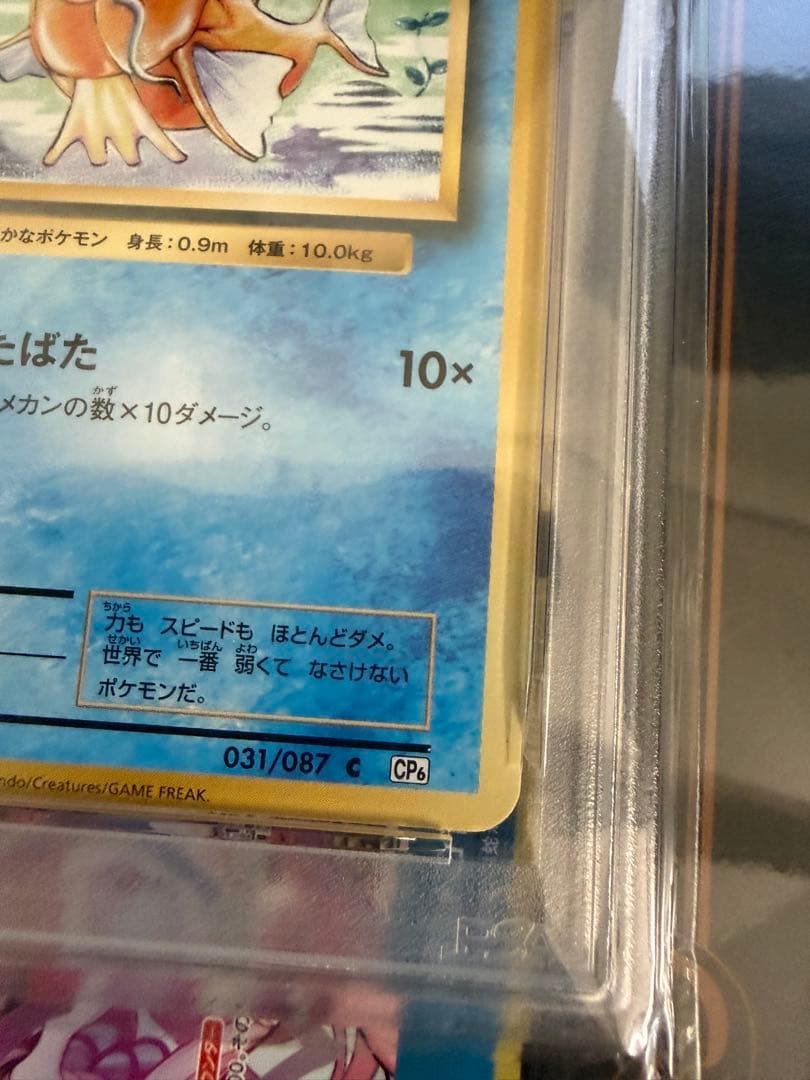 コイキング cp6 20th psa10