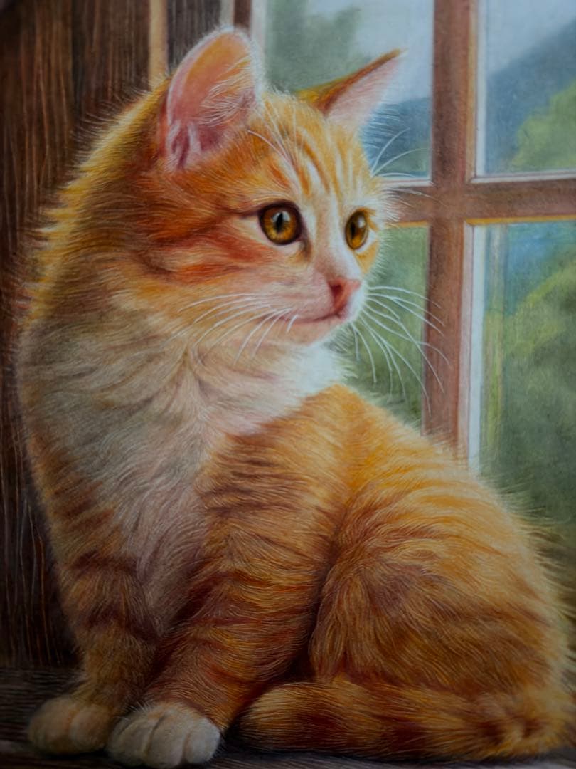 色鉛筆画A4.午後の窓辺.猫