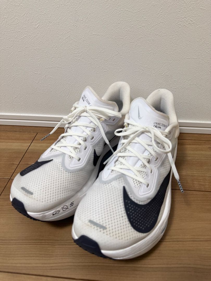 ナイキ ズームフライ6 ZOOM FLY 6 29cm