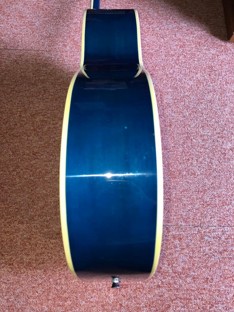 SEPIA CRUE FG-1 新品弦、ソフトケース、ピックをオマケ
