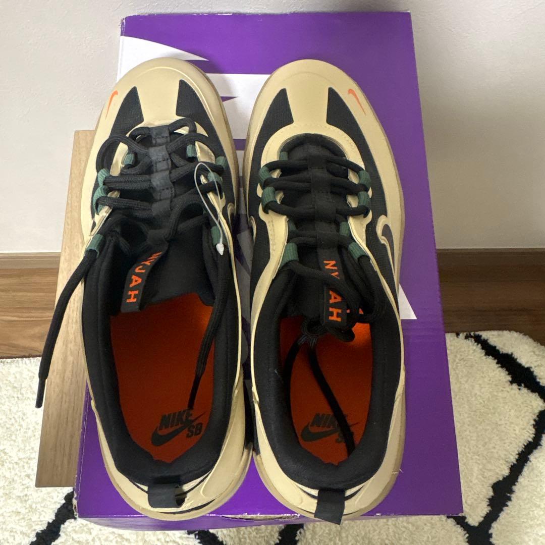 NIKE SB ナイジャフリー2 (25cm)