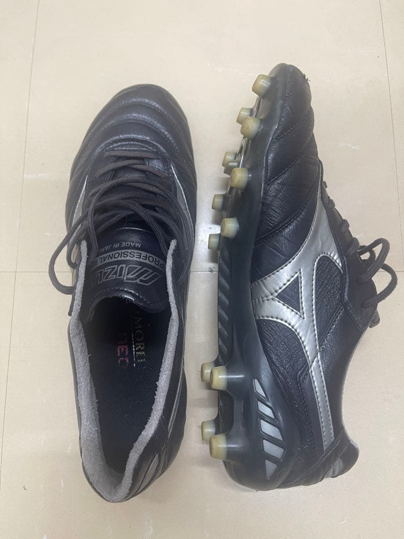 モレリアdna japan mizuno