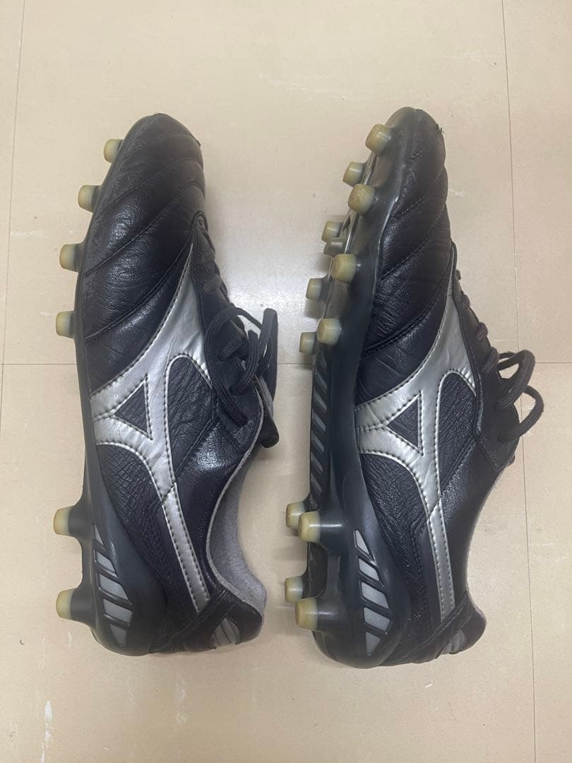 モレリアdna japan mizuno