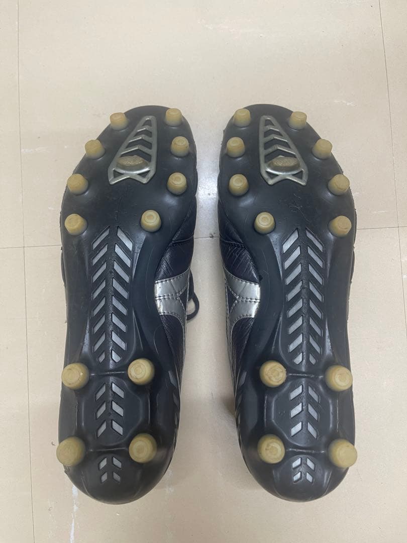 モレリアdna japan mizuno