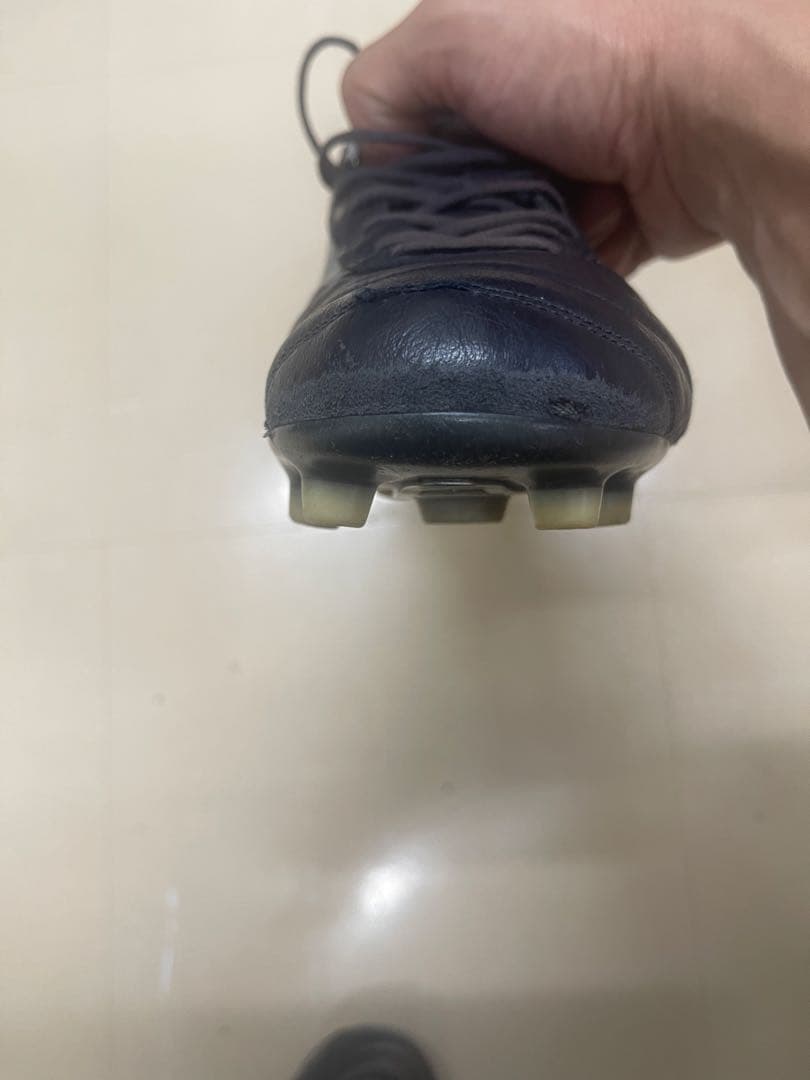 モレリアdna japan mizuno