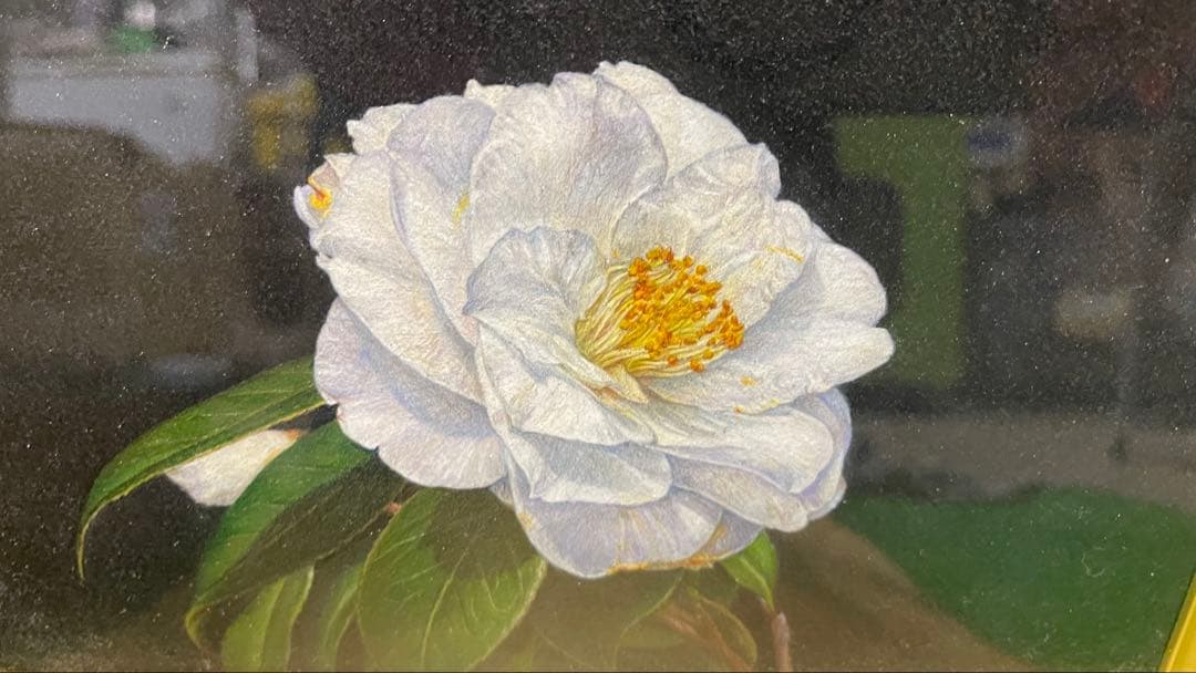 中村清三 白香 水彩 色鉛筆 1997年 額装絵画