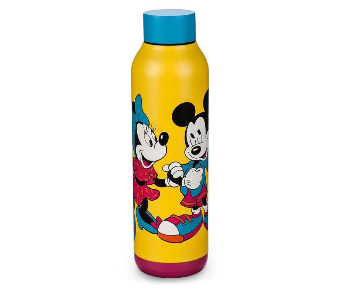 ディズニー　海外限定　水筒 630ml disneyland DLR WDW