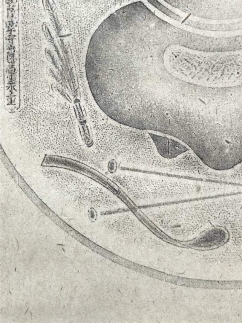 【複製】鏡阿弥/茶道具図/釜/印刷版画/掛軸/名家伝来/AB-991