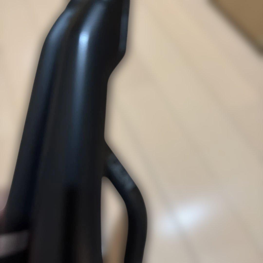 プロロゴ サドル Nack カーボンレール サドルブラック