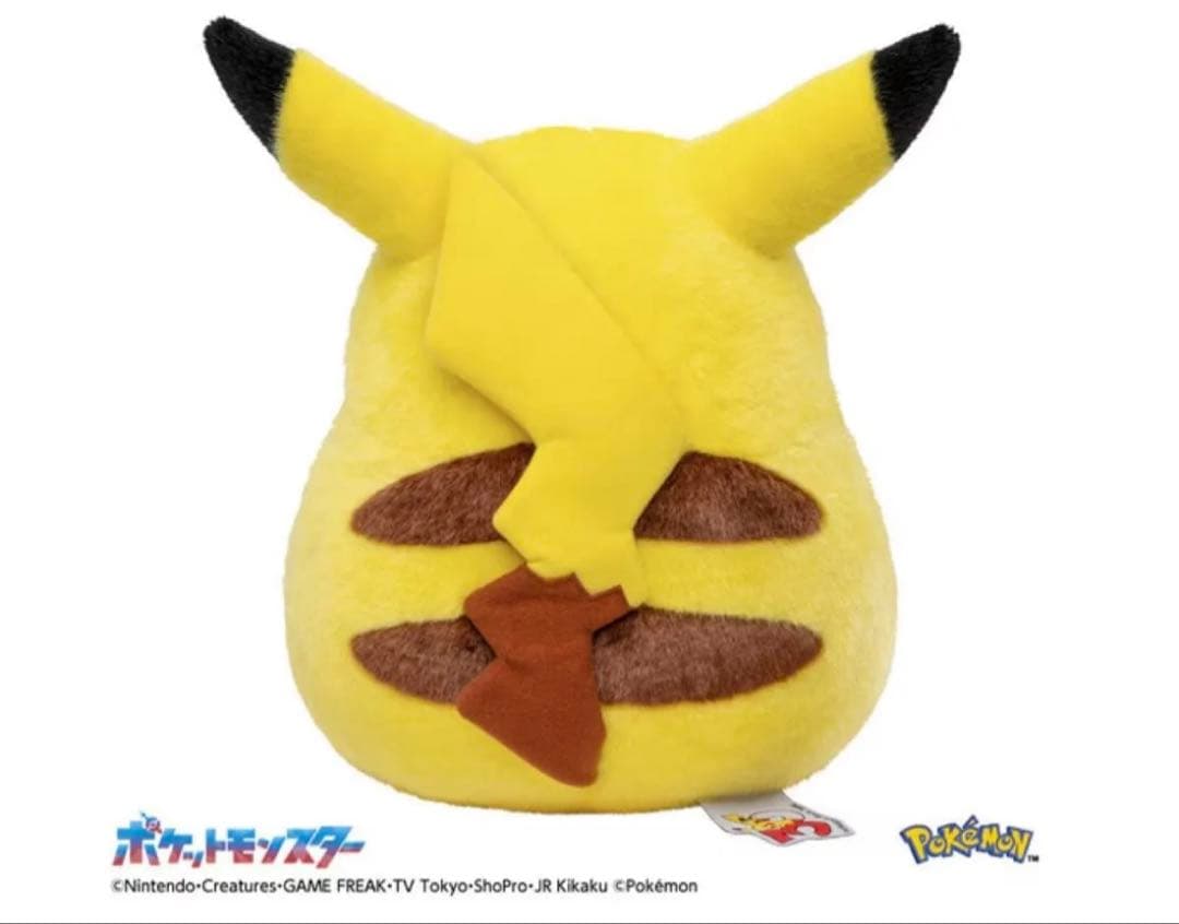 ✨専用BOX✨ポケモン30周年記念おかえり!ピカチュウ1/1
