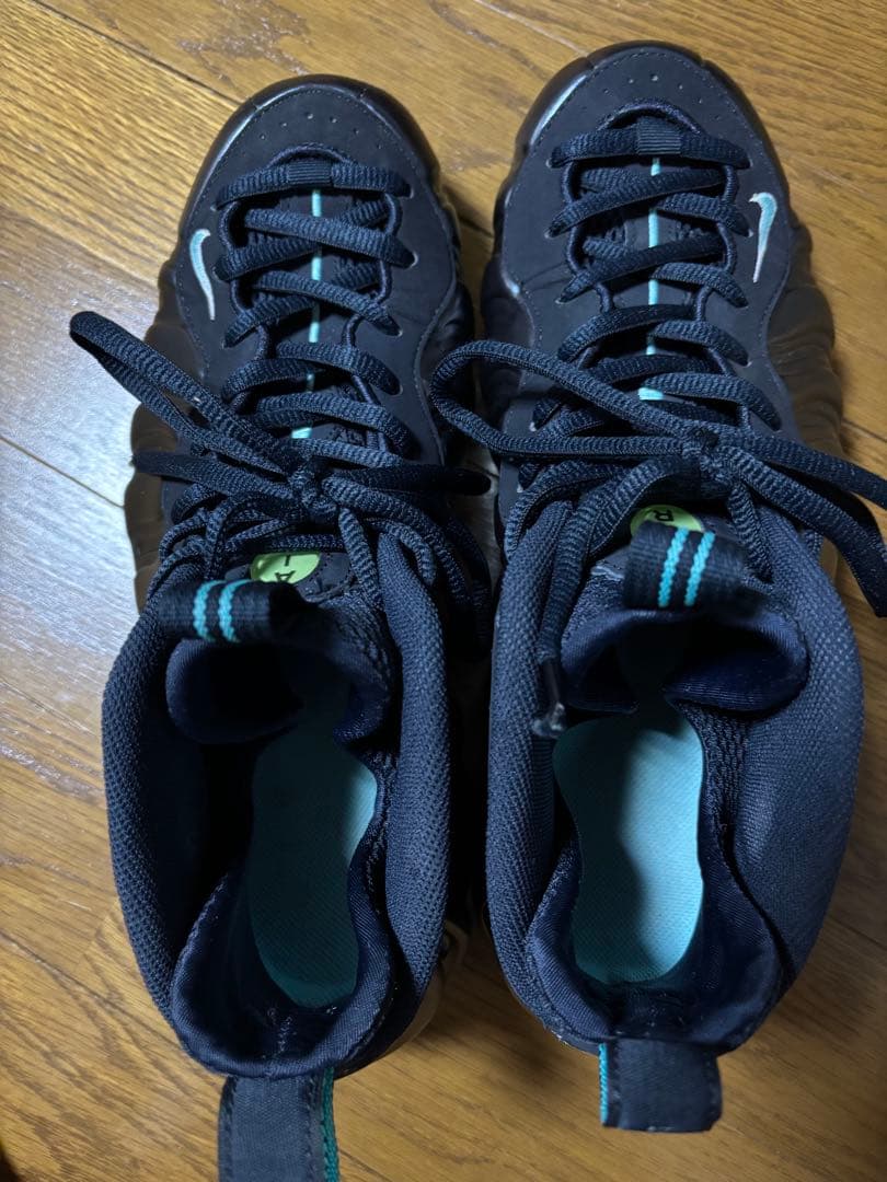NIKE エア フォームポジットPro