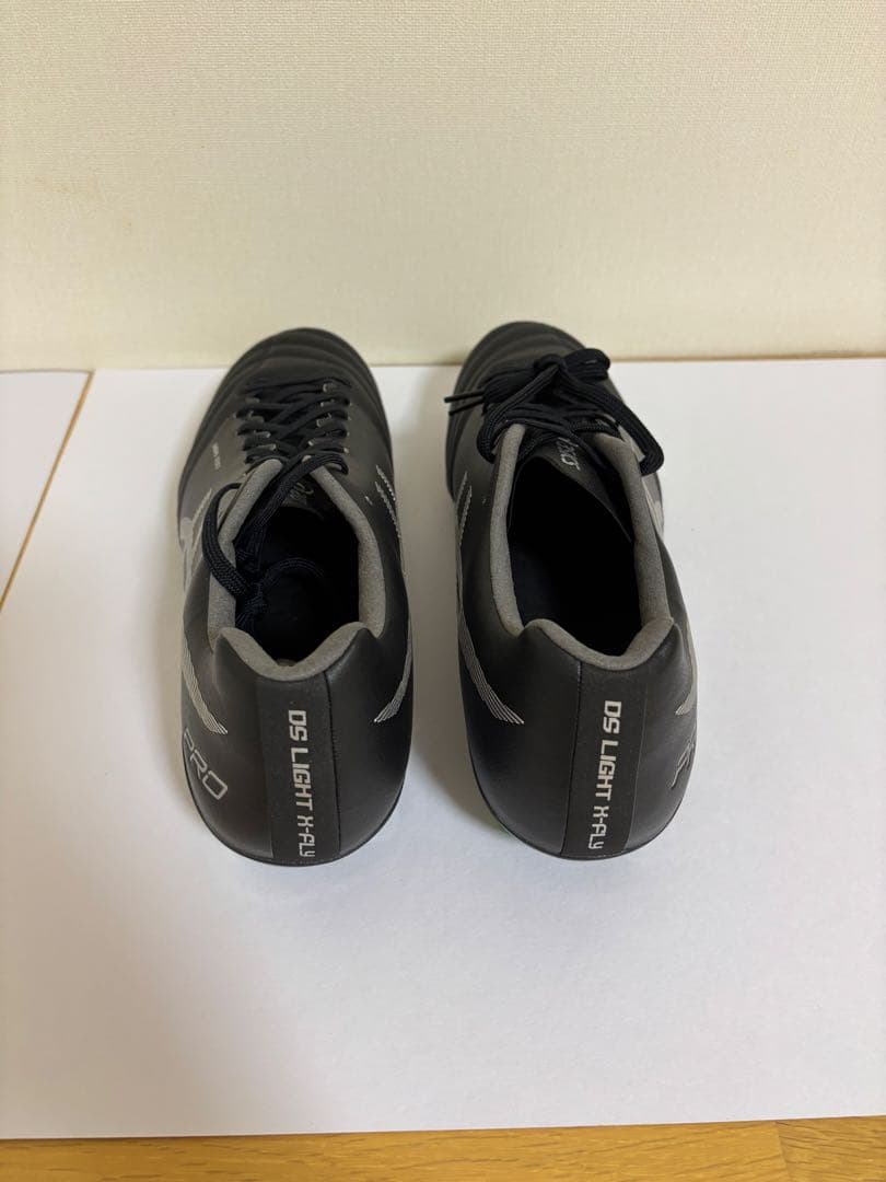 asics DS LIGHT X-FLY PRO(ブラック×シルバー)