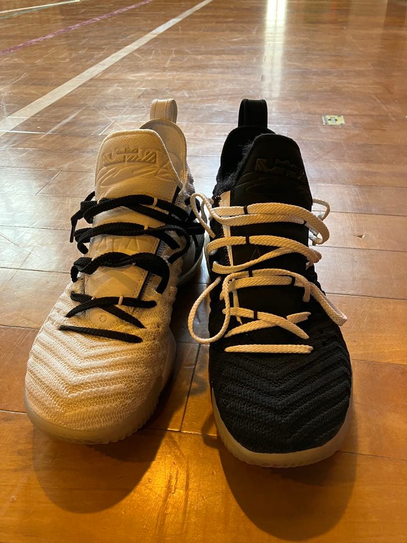 シューズ(男性用) LEBRON XVI
