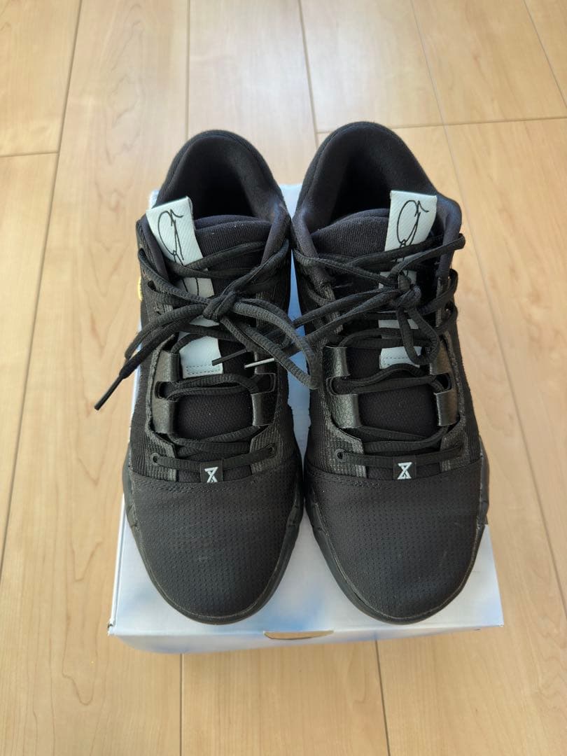 シューズ(男性用) Nike PG6 Black llic gold 27cm US 9