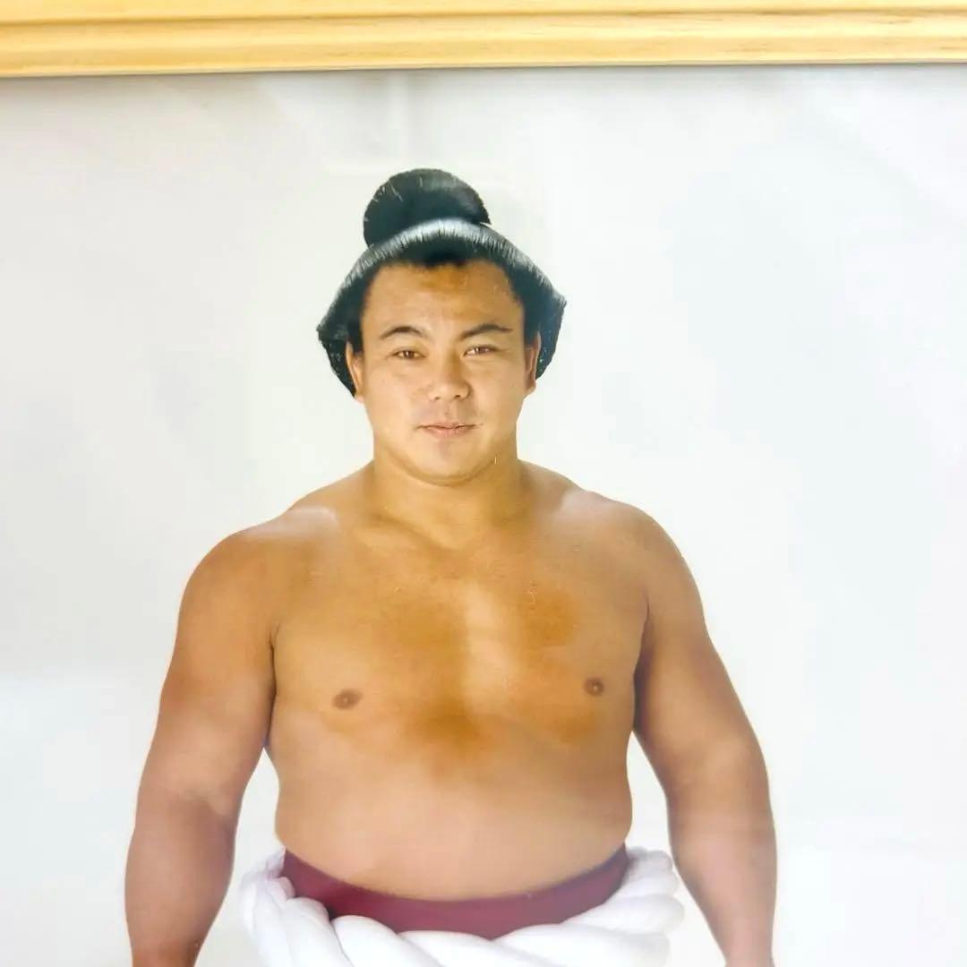 専用品　千代の富士　ミニチュア　優勝額　毎日新聞社