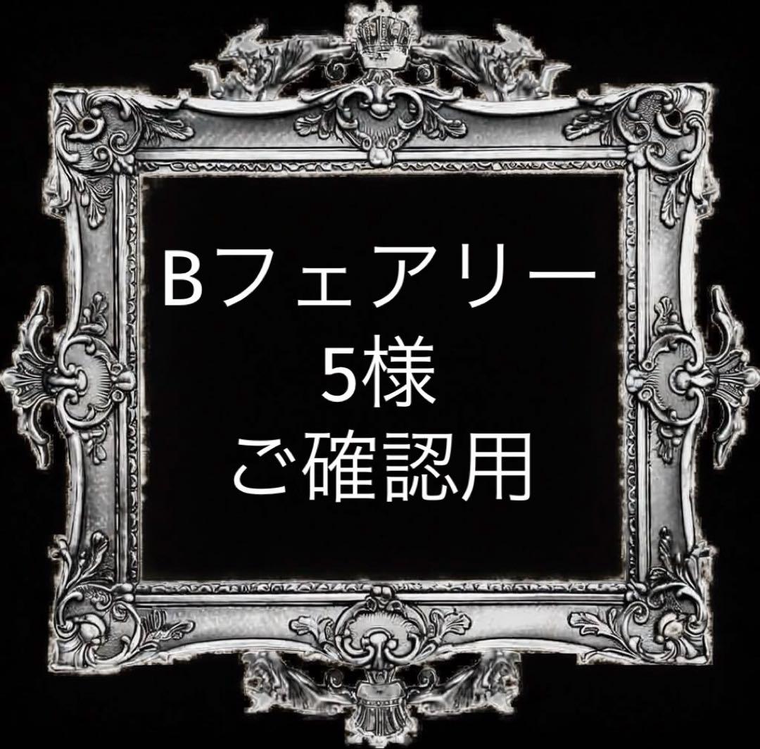 Bフェアリー5様 ご確認