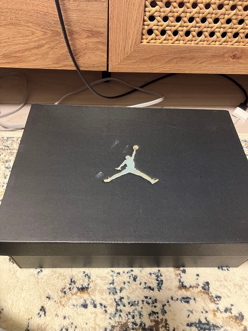 エアジョーダン AIR JORDAN 11 RETRO LOW IE 30cm