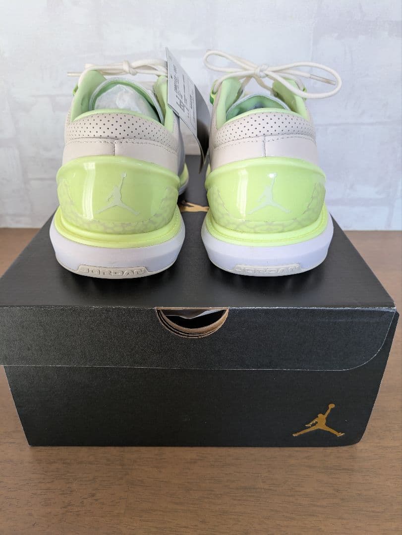 ナイキジョーダン NIKE JORDAN ADG4 ゴルフシューズ 27.5cm