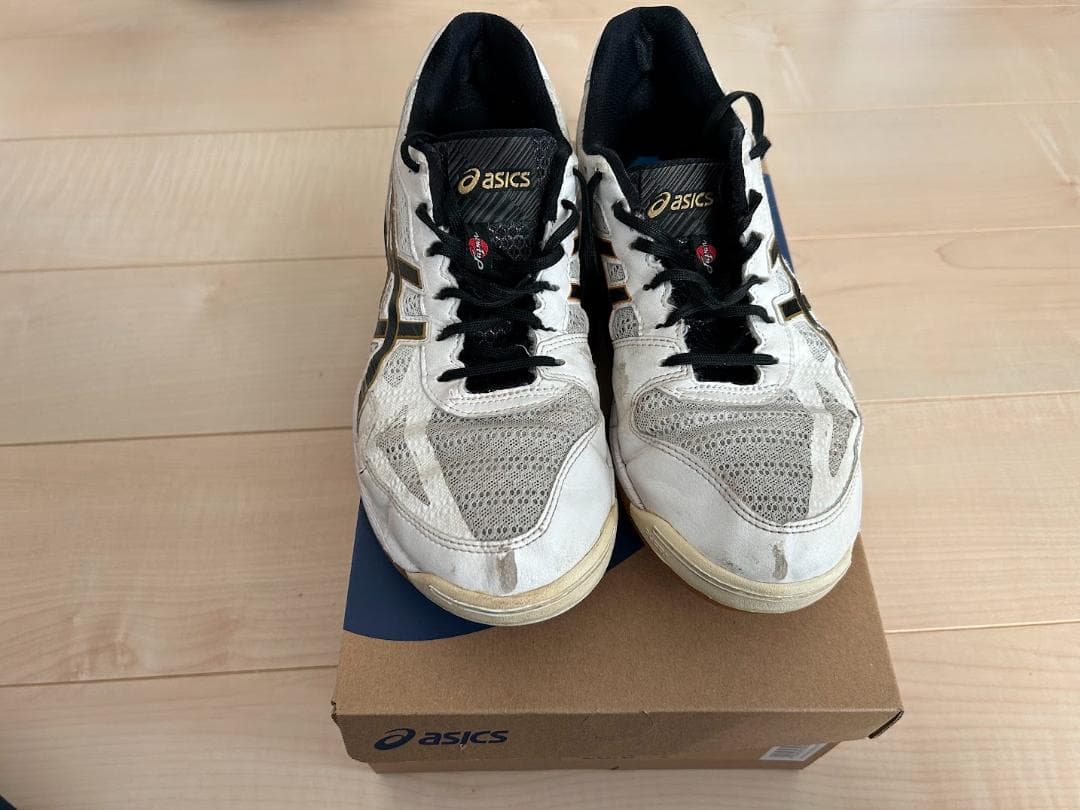 27.5cm アシックス（asics) バレーボールシューズ ローテジャパン