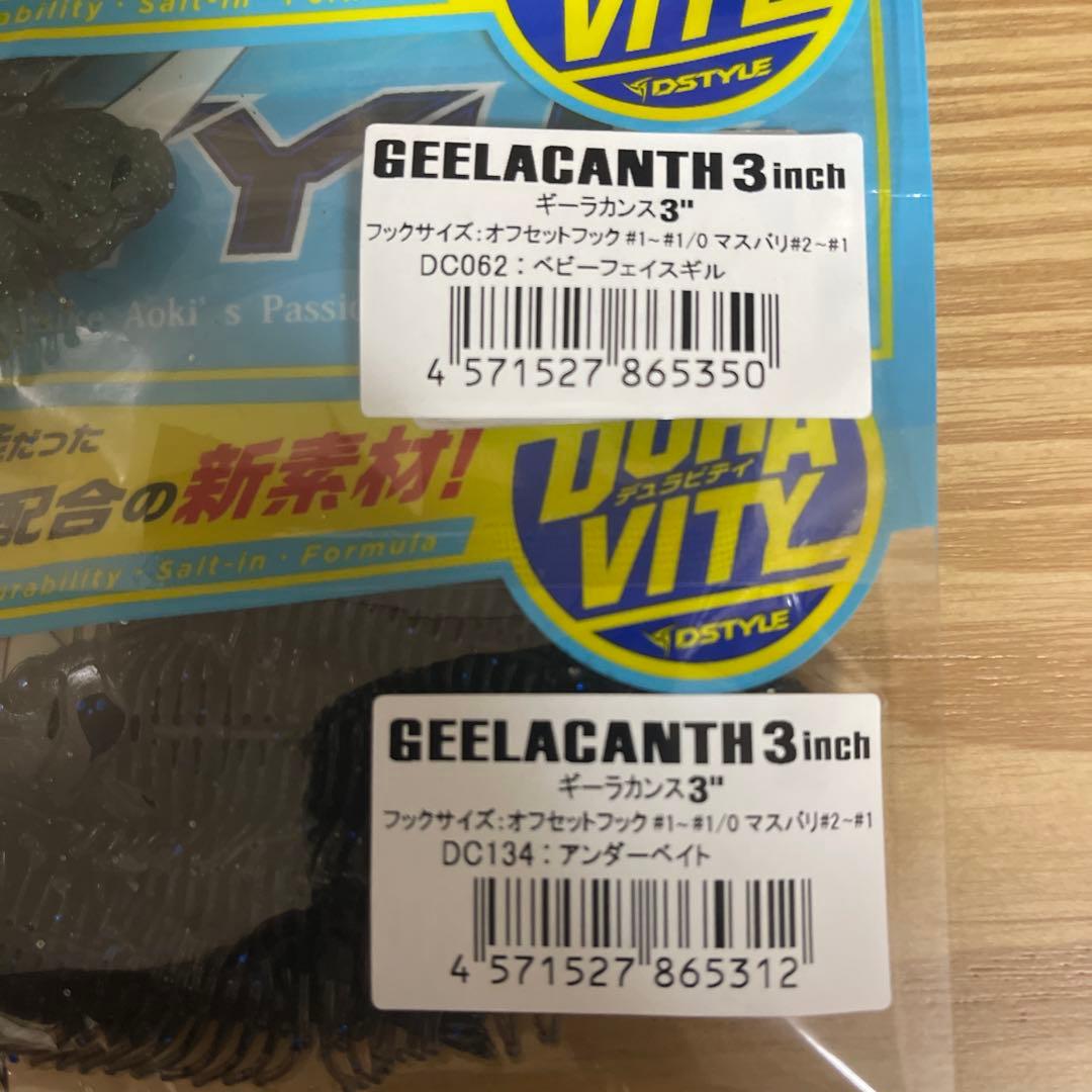 ❸ギーラカンス3㌅ 人気カラー３色セット