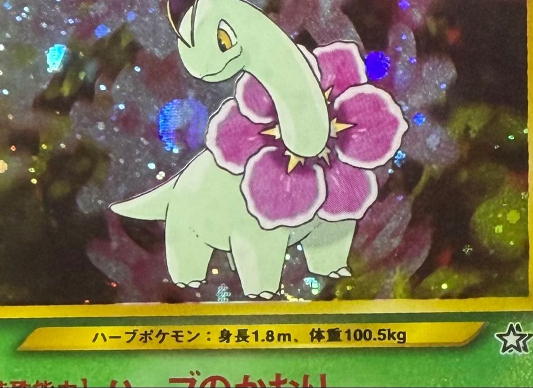 ARS10 メガニウム 旧裏面 ポケモンカード neo プレミアムファイル
