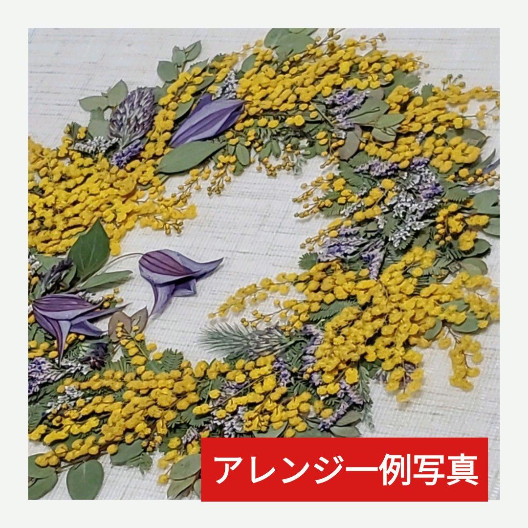 ♥昨年大絶賛の【生花ミモザ】を ご希望のサイズ自由に【3月5日までの限定】販売