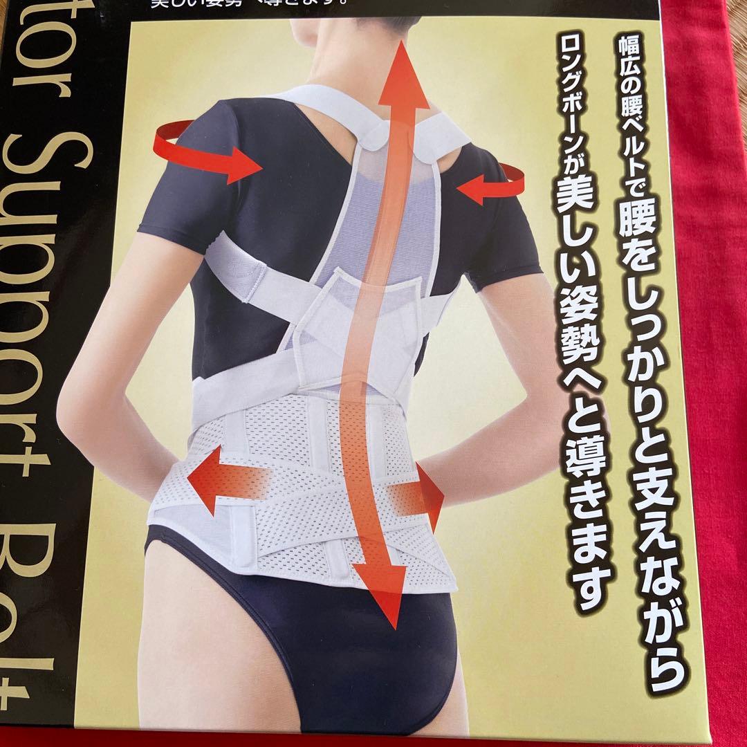 お医者さんの腰から正す姿勢ベスト