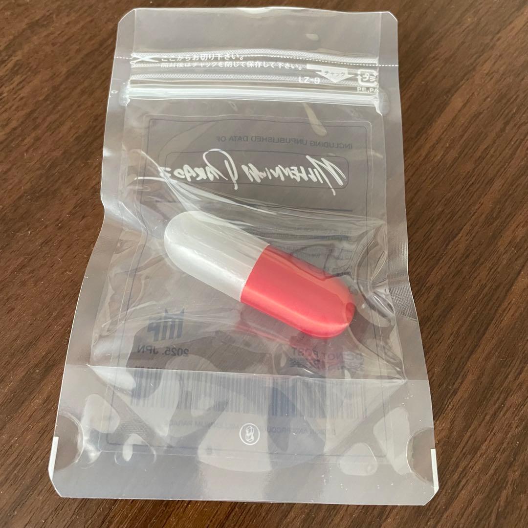 MILLENNIUM PARADE ミレパ USB データ