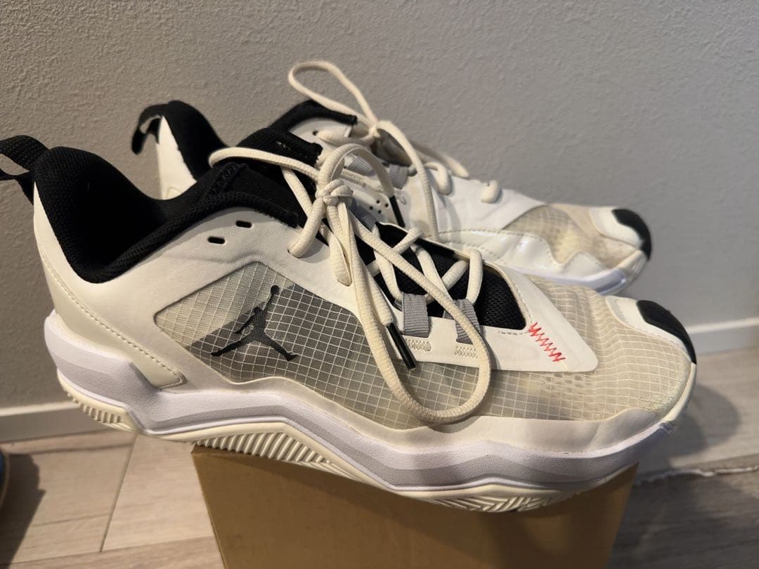 NIKE air jordan ワンテイク4