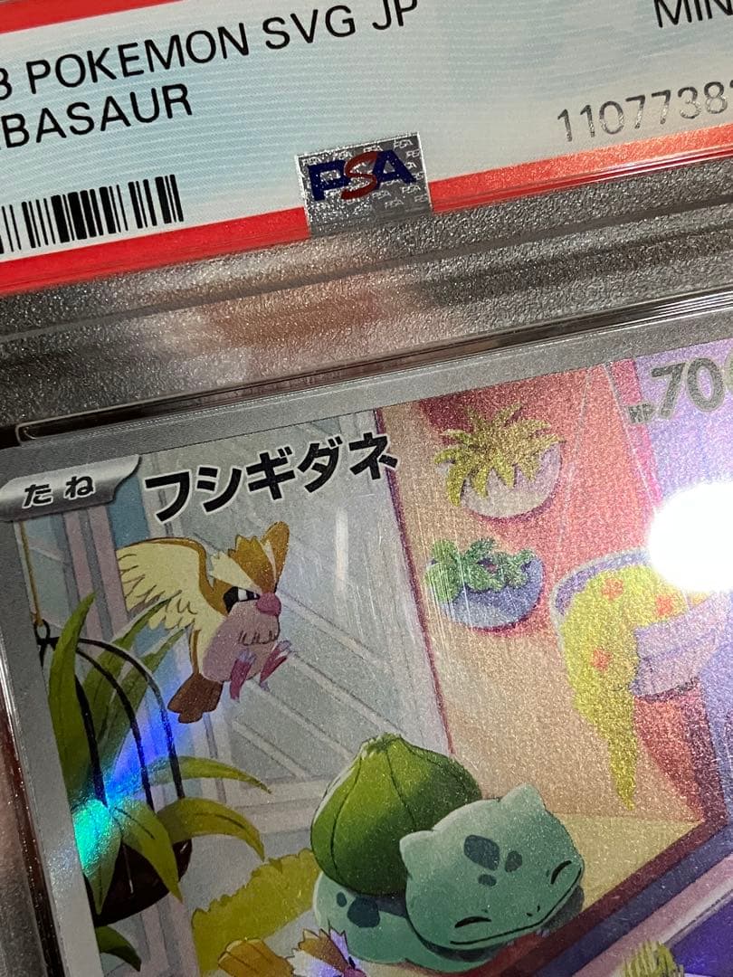 【PSA 3連番】スペシャルデッキセットex フシギダネ　ヒトカゲ　ゼニガメ