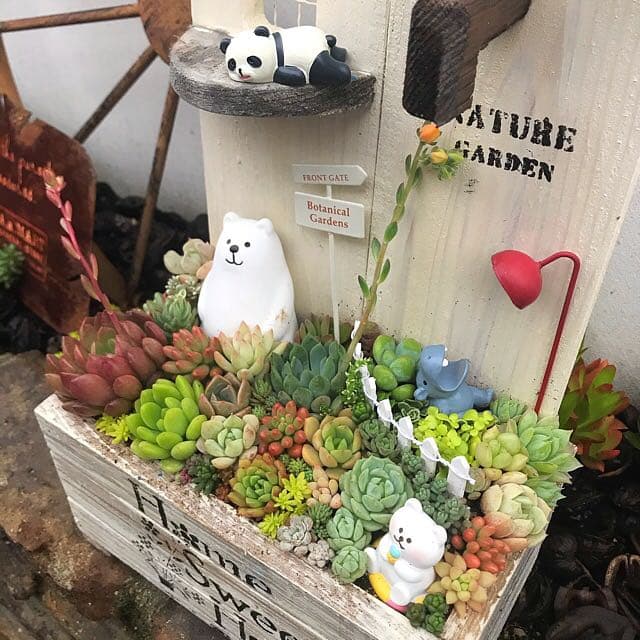 ★多肉植物　寄せ植え〜木製HOUSE 大　多肉動物園〜★